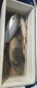 Filename=20170908_095241_resized.jpg
Filesize=194KiB
Dimensions=876x2048
Date added=Sep 08, 2017 20170908_095241_resized.jpg